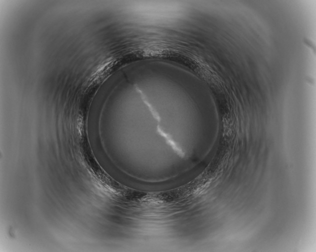 X0000095110648200712211322