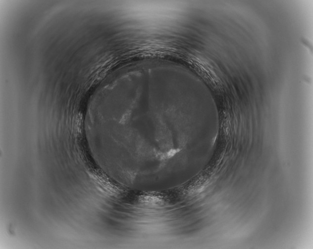 X0000095110649200712211322