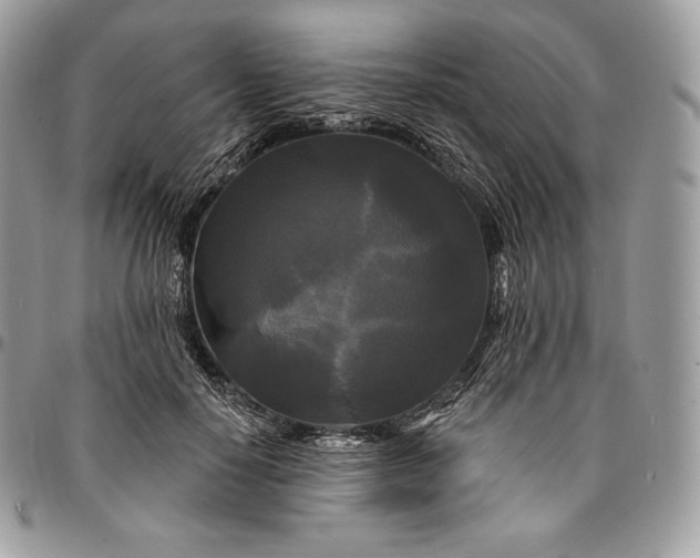 X0000095110650200712211322