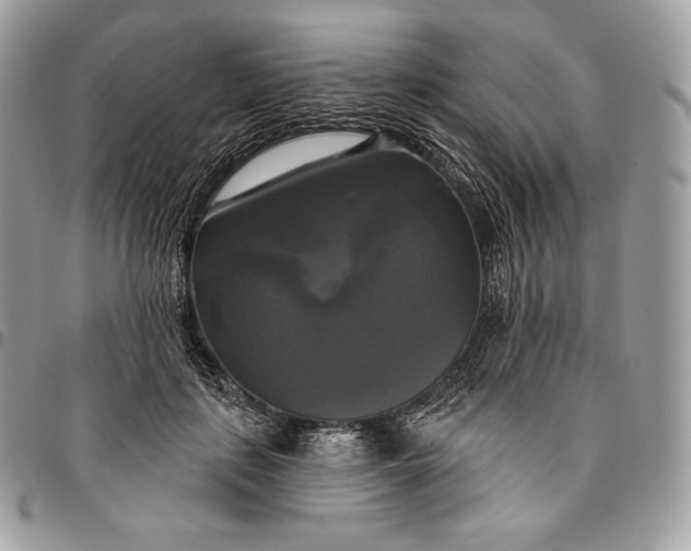 X0000095110651200712211322