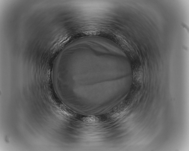 X0000095110652200712211322