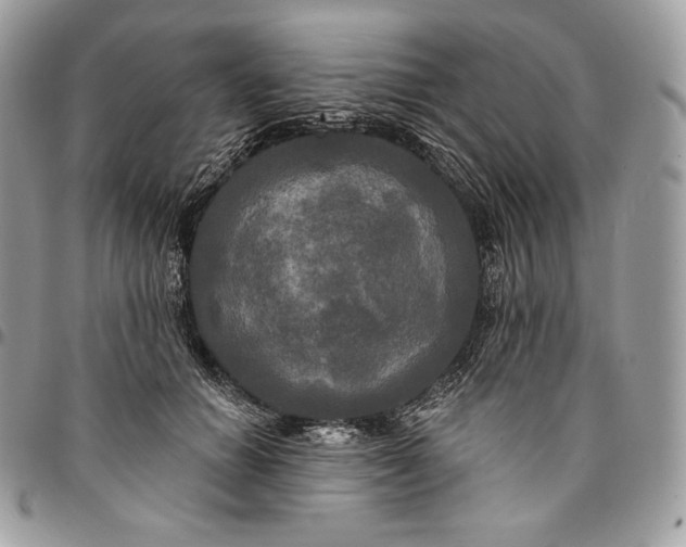 X0000095110654200712211322