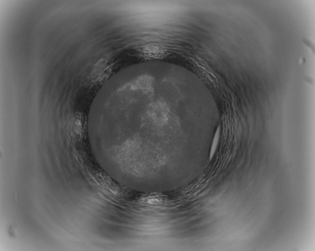 X0000095110655200712211322