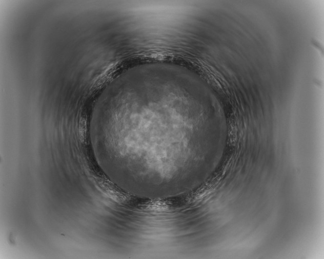 X0000095110656200712211322