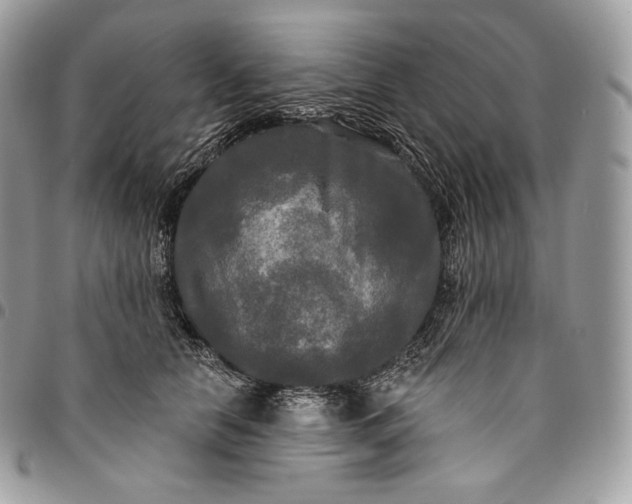 X0000095110658200712211322