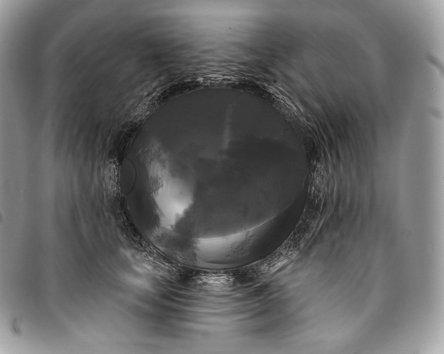 X0000095110659200712211322