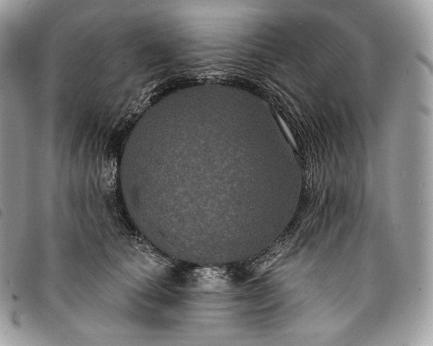 X0000095110660200712211322