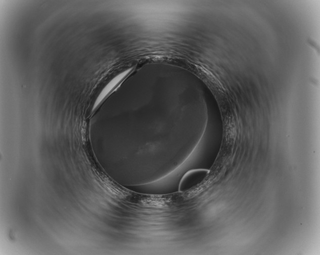 X0000095110661200712211322