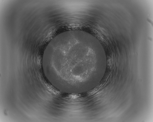 X0000095110662200712211322