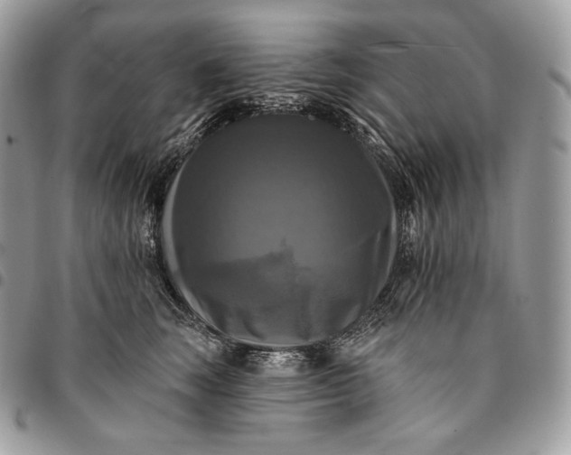 X0000095110663200712211322