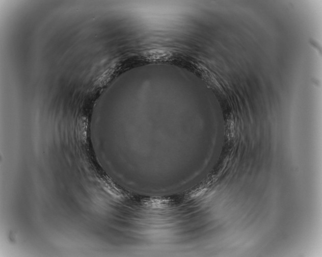 X0000095110664200712211322