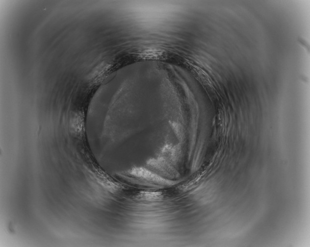 X0000095110665200712211322