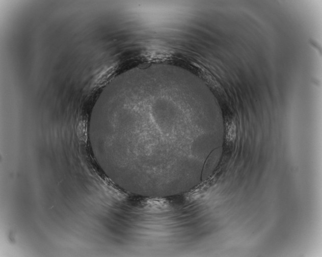 X0000095110666200712211322