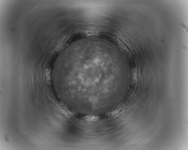 X0000095110667200712211322