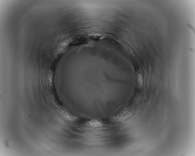 X0000095110668200712211322