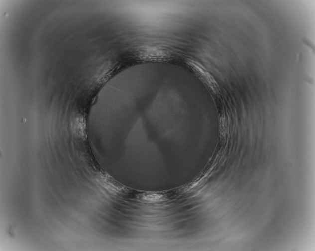 X0000095110669200712211322