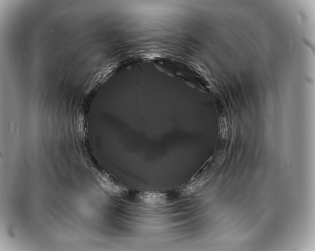 X0000095110670200712211322