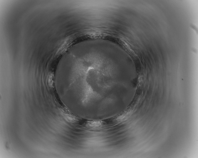 X0000095110671200712211322