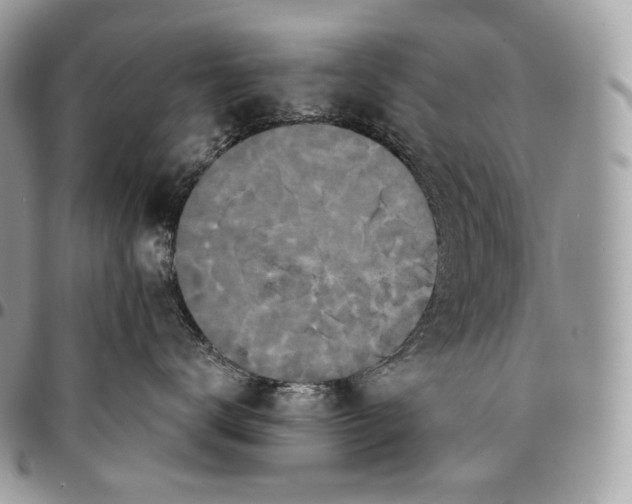 X0000095110672200712211322