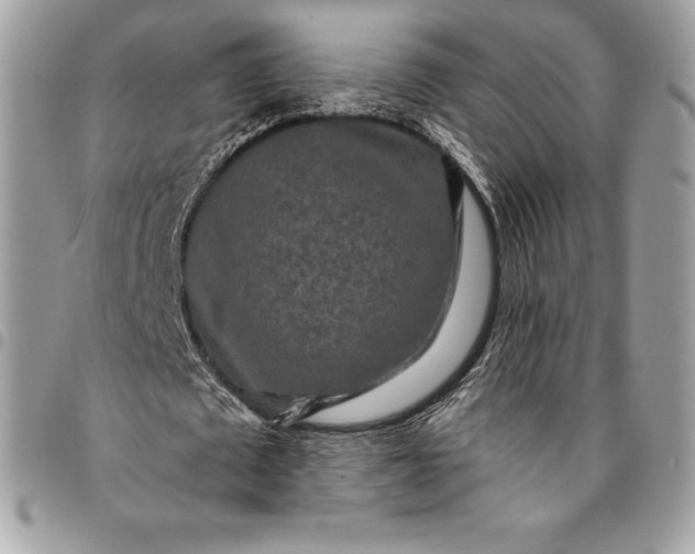 X0000095110673200712211321