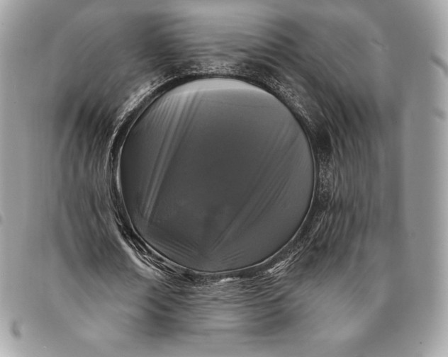 X0000095110674200712211321