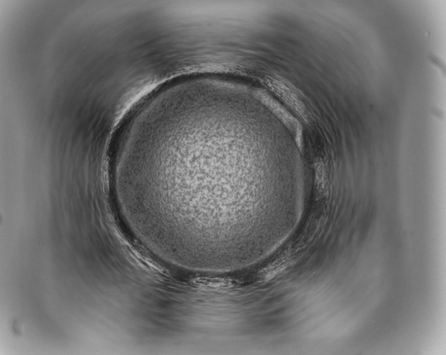 X0000095110676200712211321