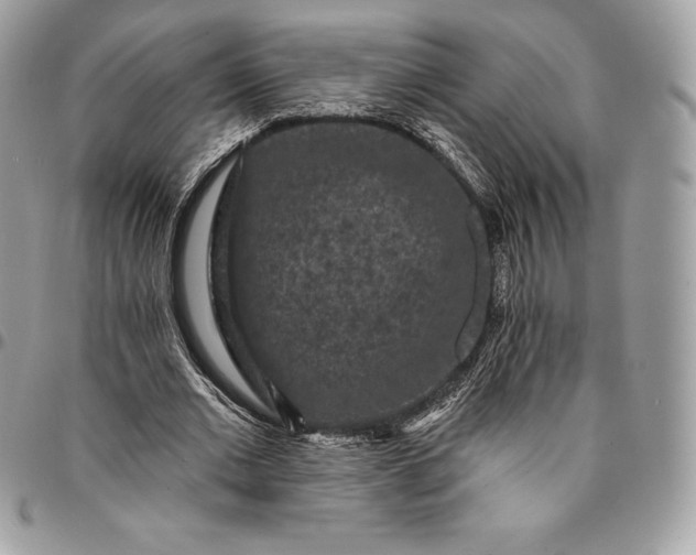 X0000095110677200712211321