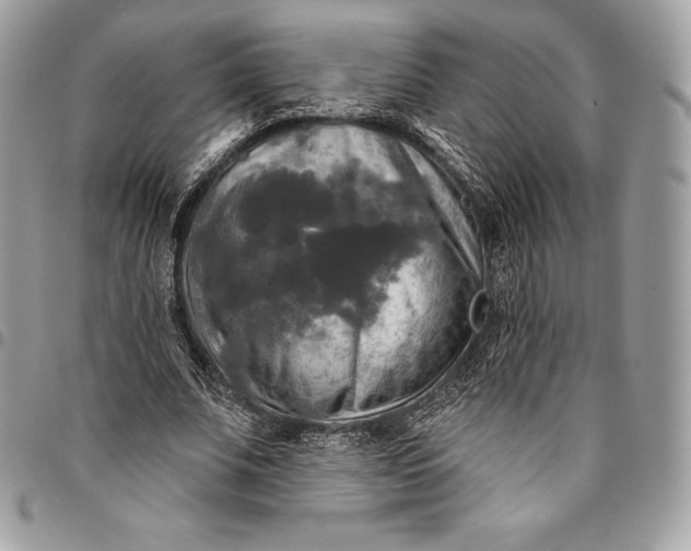 X0000095110679200712211321