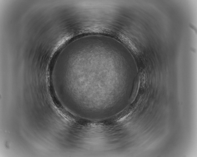 X0000095110680200712211321