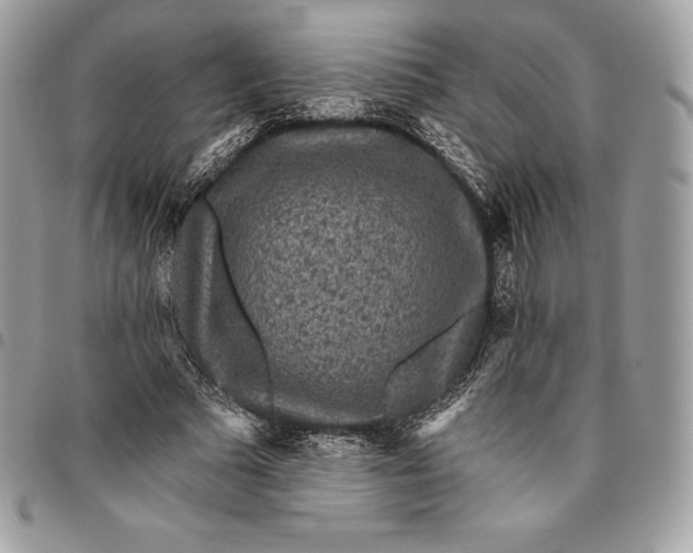 X0000095110681200712211321