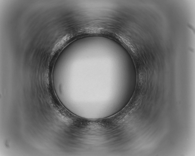 X0000095110682200712211321