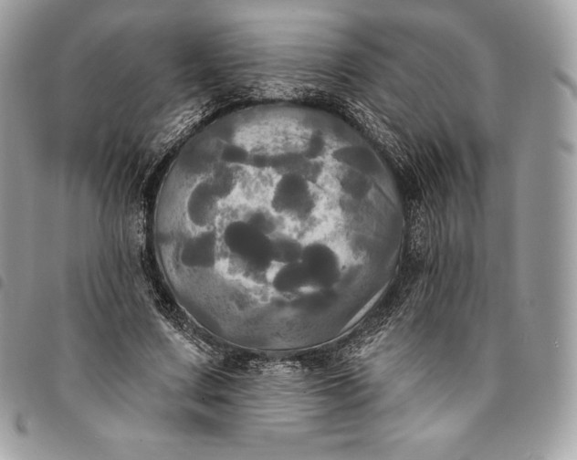 X0000095110683200712211321