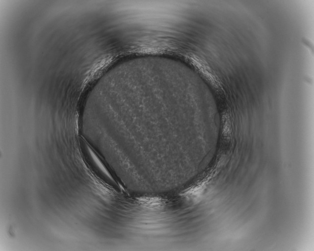 X0000095110685200712211321