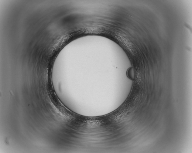 X0000095110686200712211321