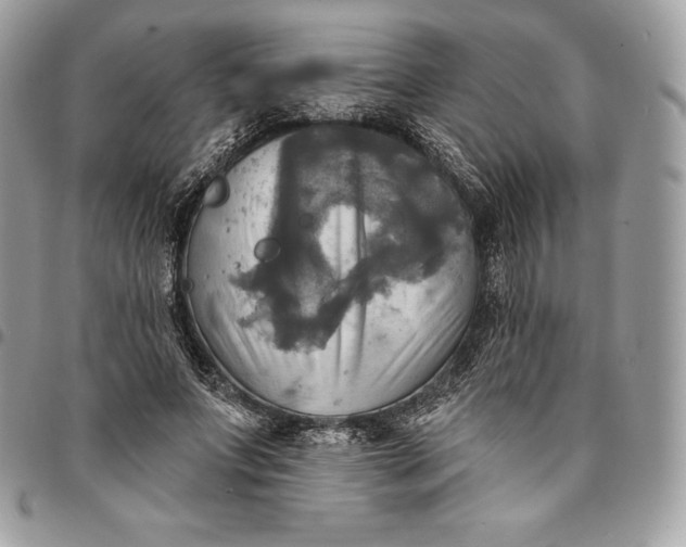 X0000095110687200712211321