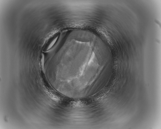 X0000095110688200712211321