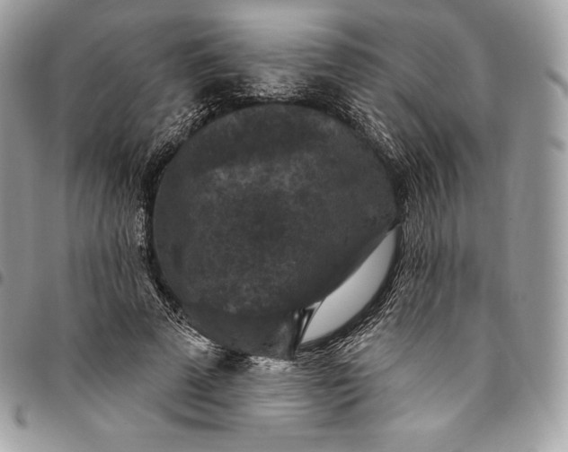 X0000095110689200712211321