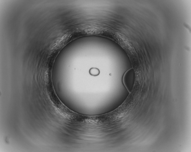 X0000095110690200712211321