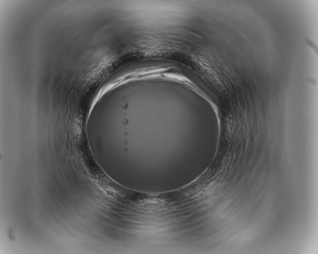 X0000095110691200712211321