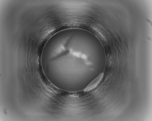 X0000095110692200712211321