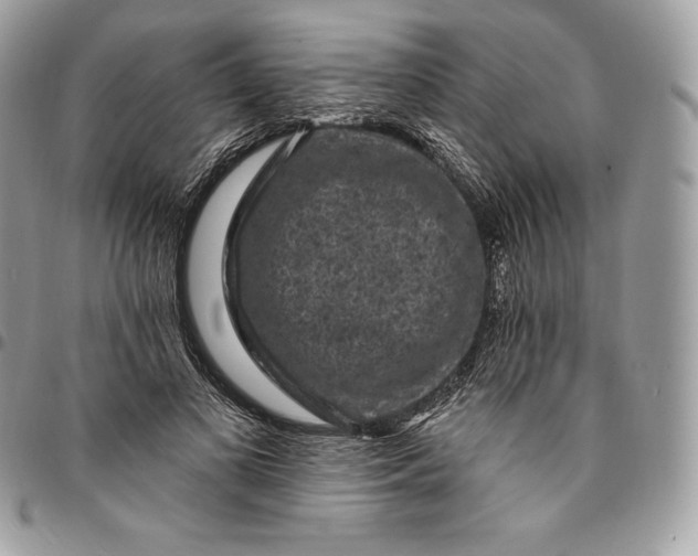 X0000095110693200712211321