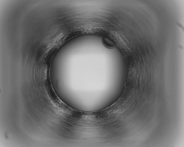 X0000095110694200712211321