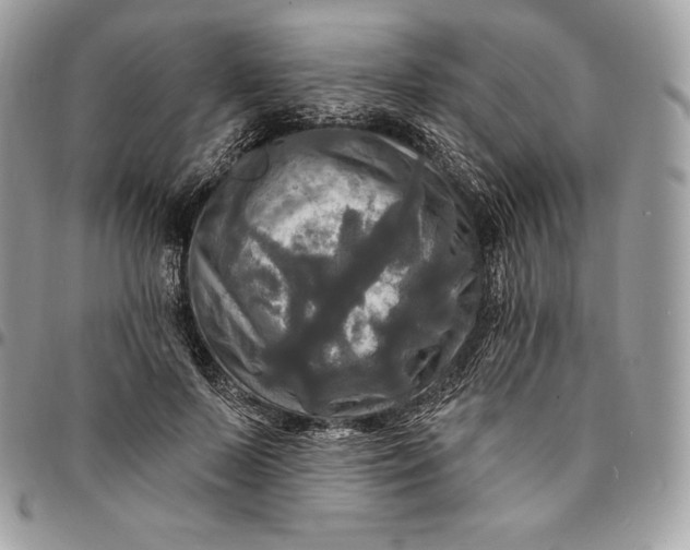 X0000095110695200712211321