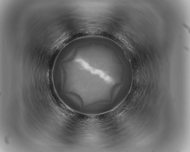 X0000095110696200712211321