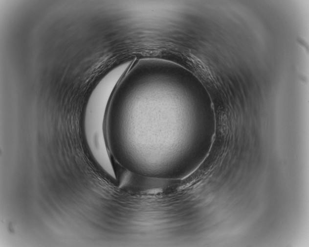 X0000095110697200712211321