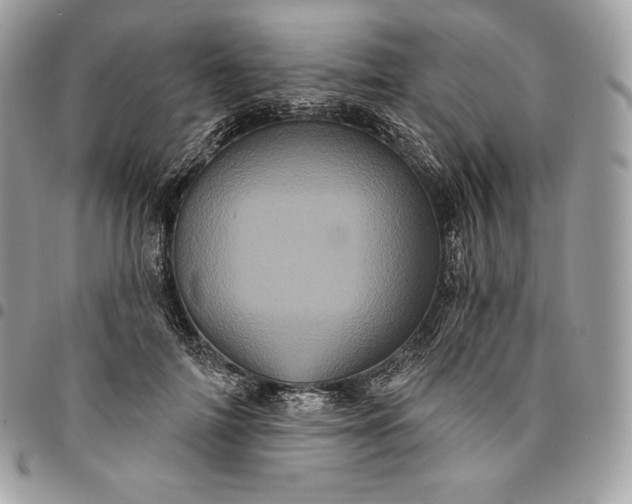 X0000095110698200712211321