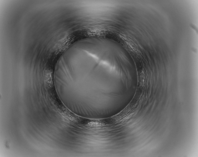 X0000095110699200712211321