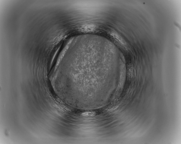 X0000095110700200712211321