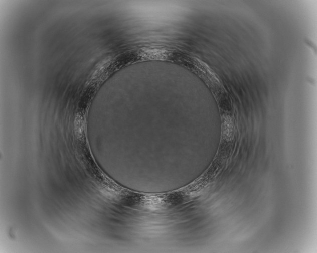 X0000095110701200712211321