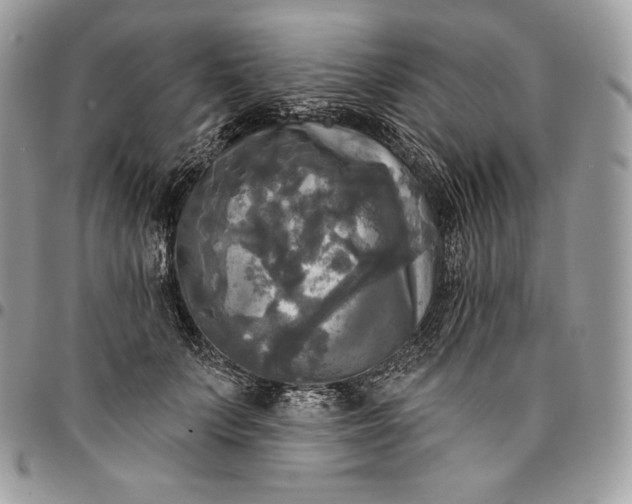 X0000095110703200712211321